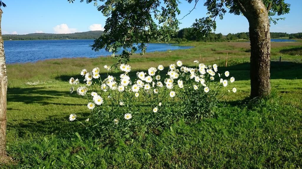 Villa Nivagarden Korpikylä Esterno foto