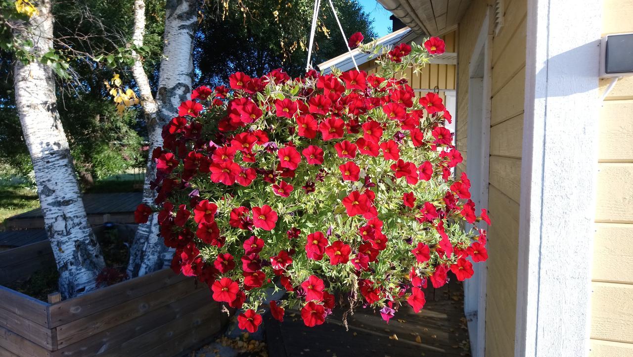 Villa Nivagarden Korpikylä Esterno foto