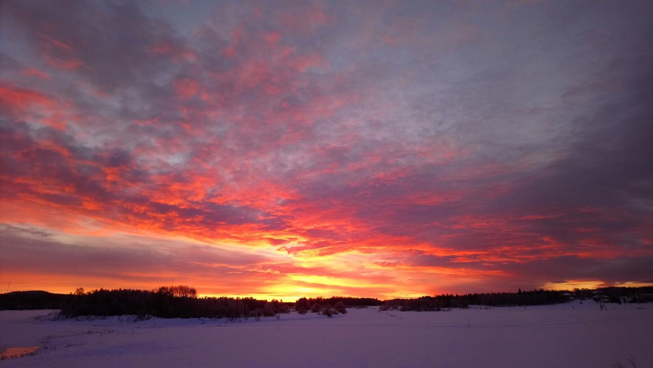 Villa Nivagarden Korpikylä Esterno foto